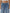 Urban Jeans Blu - Notorious